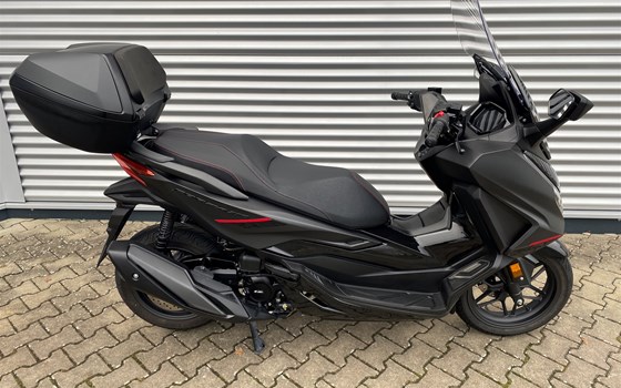 Gebrauchtmotorrad Honda Forza 350 - Bild 2