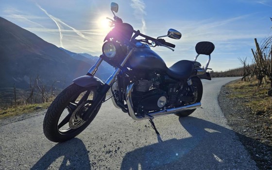 Offerta Triumph Speedmaster - Immagine 1