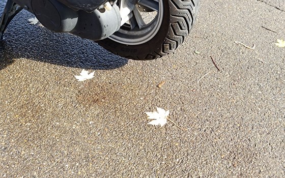 Motorrad Occasion Suzuki Burgman 125 - Bild 4