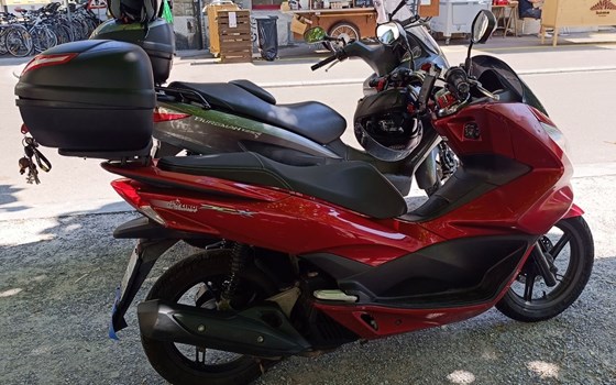 Motorrad Occasion Honda PCX125 - Bild 2