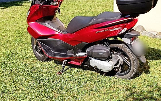 Motorrad Occasion Honda PCX125 - Bild 4