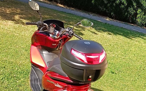 Motorrad Occasion Honda PCX125 - Bild 5