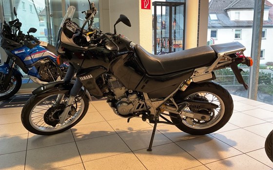 Gebrauchtmotorrad Yamaha XTZ 660 - Bild 1