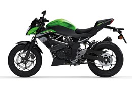 Neumotorrad Kawasaki Z125