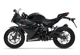Neumotorrad Kawasaki Ninja 125