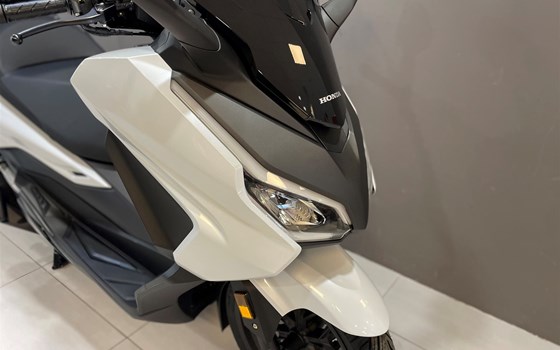 Neufahrzeug Honda Forza 350 - Bild 2