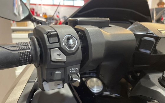 Neufahrzeug Honda Forza 750 - Bild 6