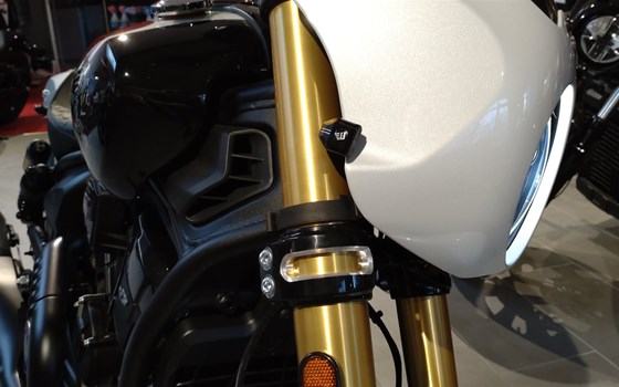 Neufahrzeug Indian 101 Scout - Bild 4