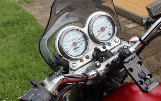 Gebrauchtmotorrad Suzuki VX 800 - Bild 6