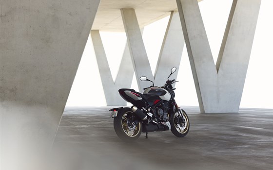 Neufahrzeug Triumph Trident 800 - Bild 13
