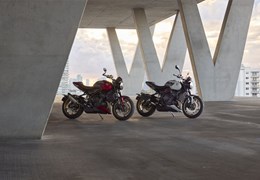 Neumotorrad Triumph Trident 800