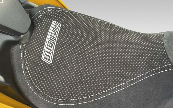 Motorrad Occasion Ducati Panigale V4 - Bild 10