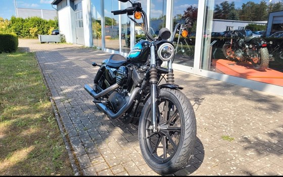 Gebrauchtmotorrad Harley-Davidson Sportster XL 1200NS Iron - Bild 2