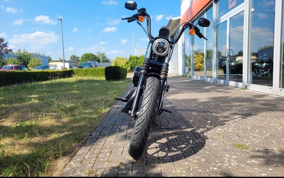 Gebrauchtmotorrad Harley-Davidson Sportster XL 1200NS Iron - Bild 3