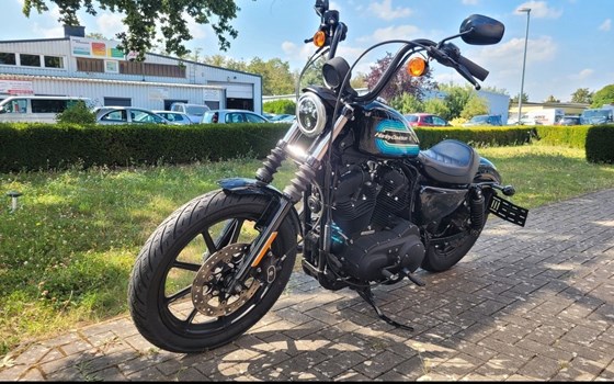 Gebrauchtmotorrad Harley-Davidson Sportster XL 1200NS Iron - Bild 4