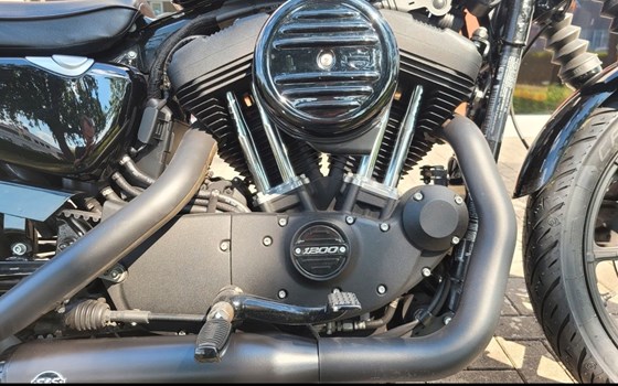 Gebrauchtmotorrad Harley-Davidson Sportster XL 1200NS Iron - Bild 9