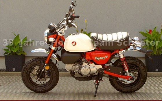 Neufahrzeug Honda Monkey 125 - Bild 5