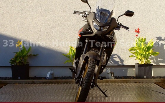 Neufahrzeug Honda XL750 Transalp - Bild 3