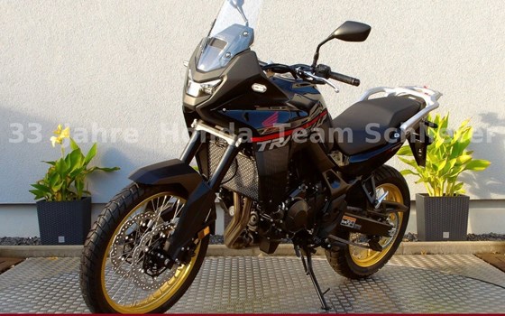 Neufahrzeug Honda XL750 Transalp - Bild 4