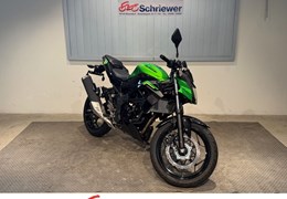 Neumotorrad Kawasaki Z125