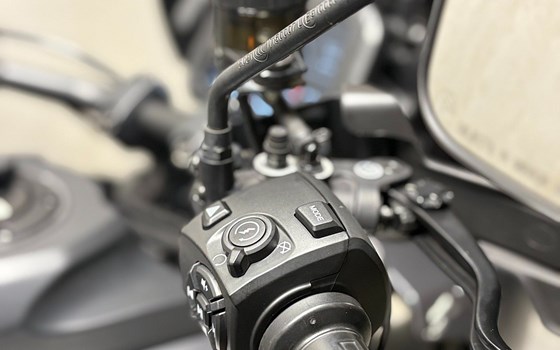 Gebrauchtmotorrad Harley-Davidson Pan America 1250 Special - Bild 6