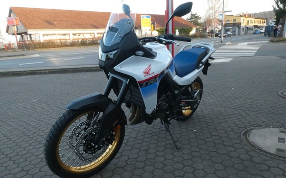 Neufahrzeug Honda XL750 Transalp - Bild 4