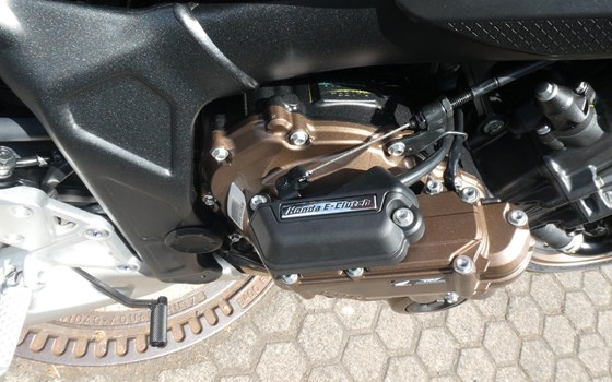 Neufahrzeug Honda CB650R E-Clutch - Bild 11