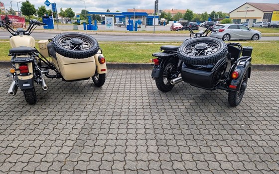 Neufahrzeug SWM Sidecar Urban 525 - Bild 5
