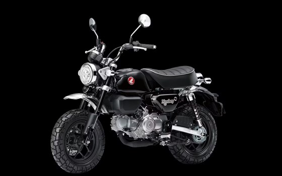 Neufahrzeug Honda Monkey 125 - Bild 1