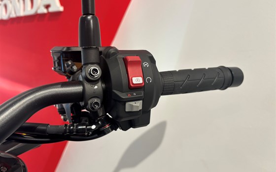 Gebrauchtmotorrad Honda CB1000 Hornet - Bild 9