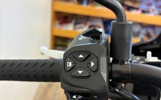 Gebrauchtmotorrad Aprilia Tuono 660 - Bild 9