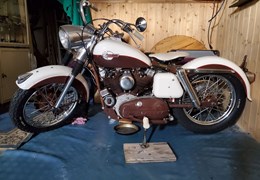 Occasion Harley-Davidson Sportster XLH 883