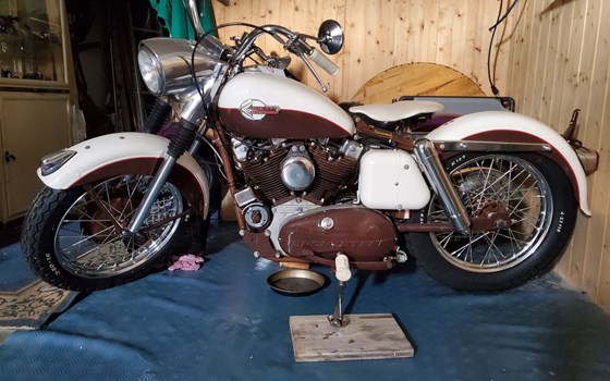 Motorrad Occasion Harley-Davidson Sportster XLH 883 - Bild 1