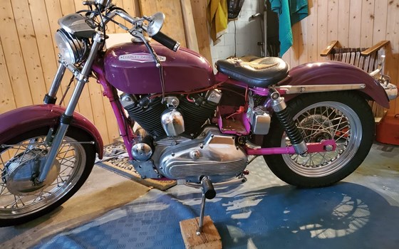 Motorrad Occasion Harley-Davidson Sportster XLH 883 - Bild 2