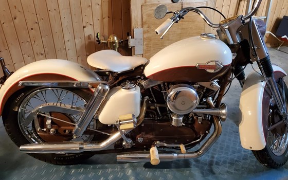 Motorrad Occasion Harley-Davidson Sportster XLH 883 - Bild 4