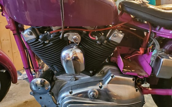 Motorrad Occasion Harley-Davidson Sportster XLH 883 - Bild 6