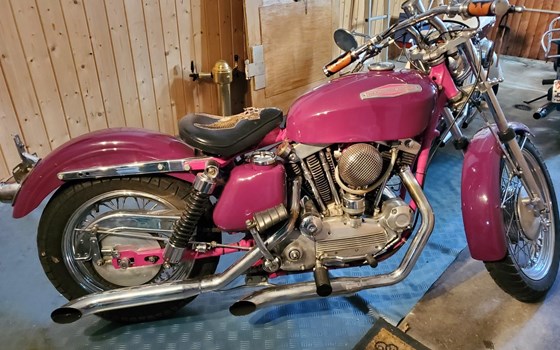 Motorrad Occasion Harley-Davidson Sportster XLH 883 - Bild 8