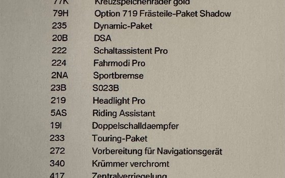 Gebrauchtmotorrad BMW R 1300 GS - Bild 12