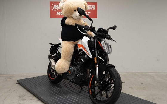 Motorrad Occasion KTM 390 Duke - Bild 1
