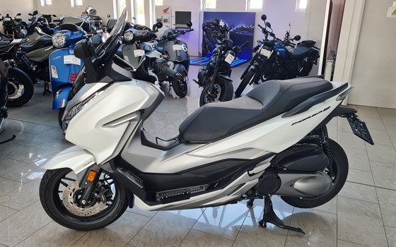 Gebrauchtmotorrad Honda Forza 300 - Bild 3