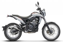 Neumotorrad Beta Alp 4.0