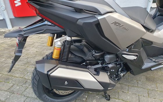 Gebrauchtmotorrad Honda ADV350 - Bild 3