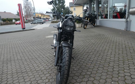 Neufahrzeug Honda GB350S - Bild 3