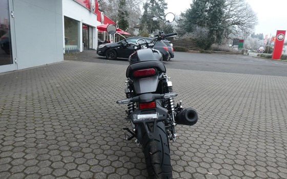 Neufahrzeug Honda GB350S - Bild 7
