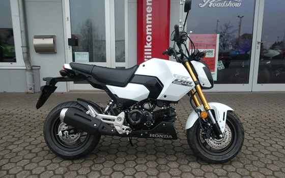 Neufahrzeug Honda MSX125 Grom - Bild 1