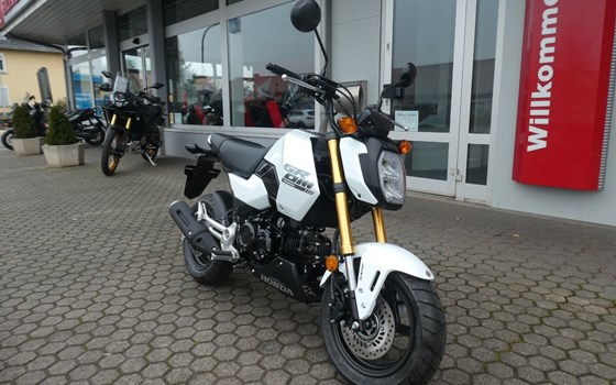 Neufahrzeug Honda MSX125 Grom - Bild 2