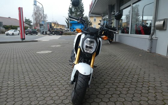 Neufahrzeug Honda MSX125 Grom - Bild 3