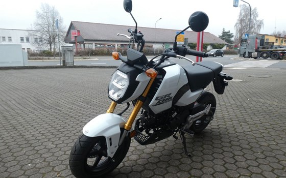 Neufahrzeug Honda MSX125 Grom - Bild 4