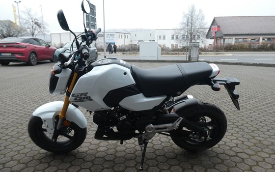 Neufahrzeug Honda MSX125 Grom - Bild 5