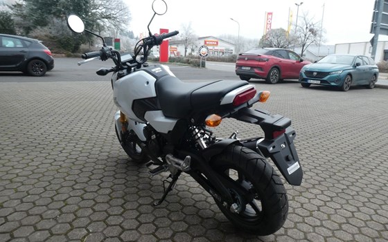 Neufahrzeug Honda MSX125 Grom - Bild 6